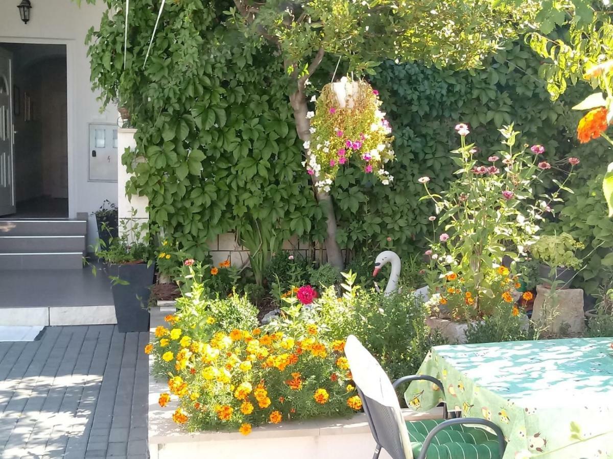 Apartments Centar - Mirjana Makarska Dış mekan fotoğraf